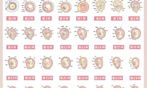 哮喘病人能吃煮玉米吗网 - 有哮喘可以吃粥吗,哮喘可以吃糯米之类的东西吗